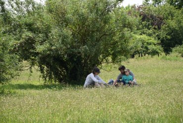 RANDONNÉE MILLE PATTES DANS LA VILLE ET LE PARC - 12 JUIN 2021